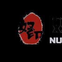 奴印文化